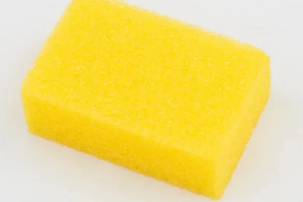 Insect sponge, hard, yellow